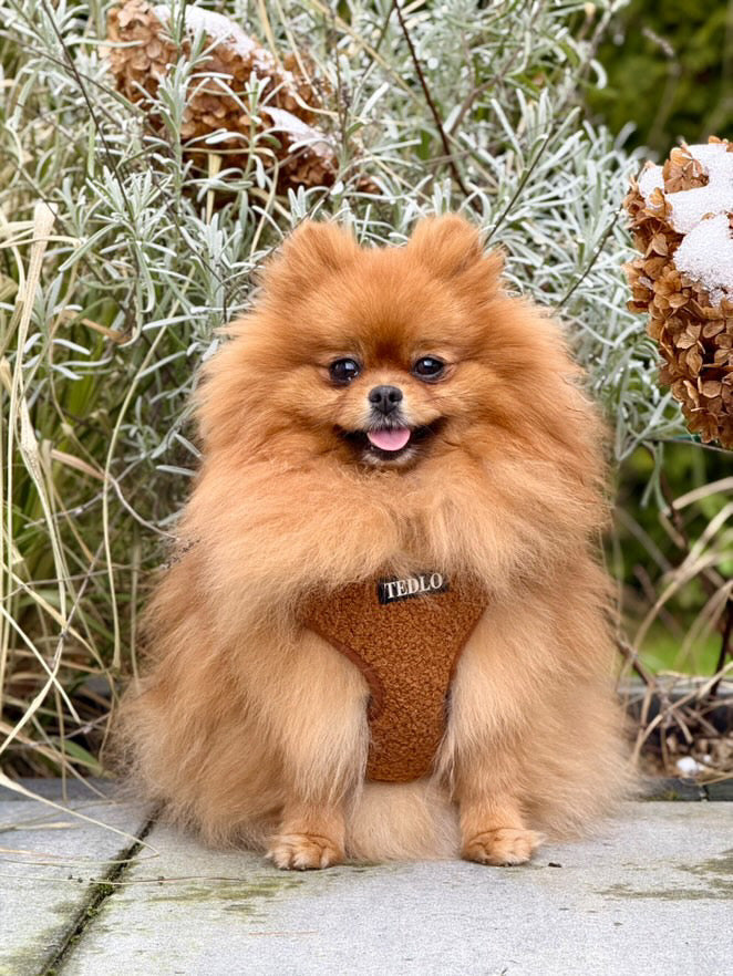 Szelki Bezuciskowe "Teddy"